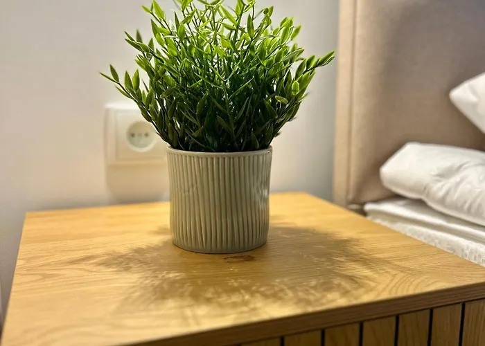 House Natura 度假居 *